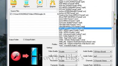 Thủ thuật HonVietBIZ | Thủ thuật convert FLV sang AVI, MP4, MP3