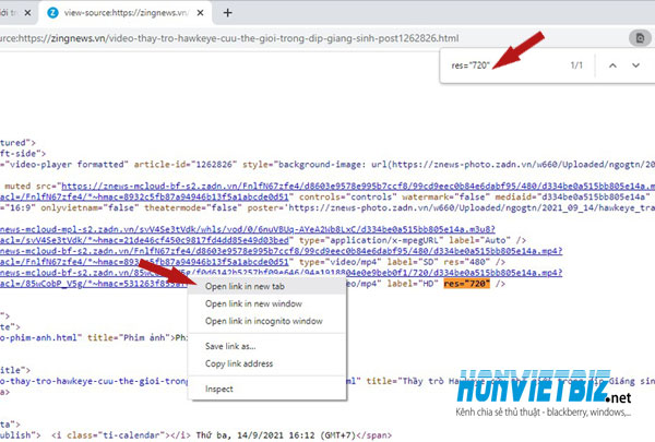 Thủ thuật HonVietBIZ | Hướng dẫn download video trên trang Zingnews