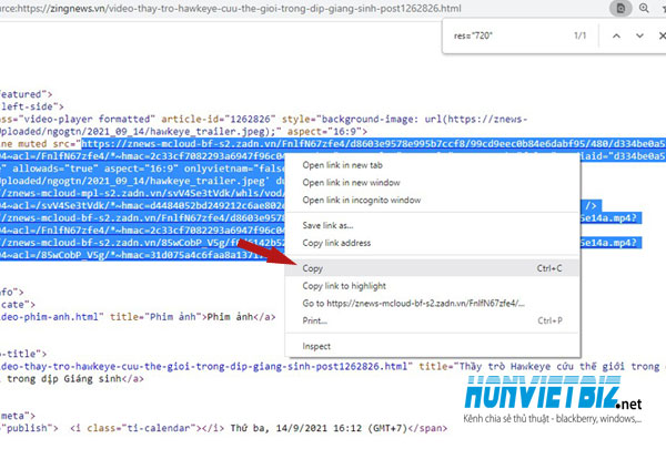 Thủ thuật HonVietBIZ | Hướng dẫn download video trên trang Zingnews
