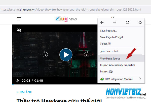 Thủ thuật HonVietBIZ | Hướng dẫn download video trên trang Zingnews