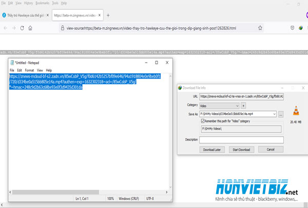 Thủ thuật HonVietBIZ | Hướng dẫn download video trên trang Zingnews