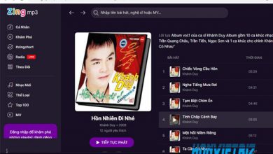 Thủ thuật HonVietBIZ | Hướng dẫn download nhạc và video trên trang ZingMp3