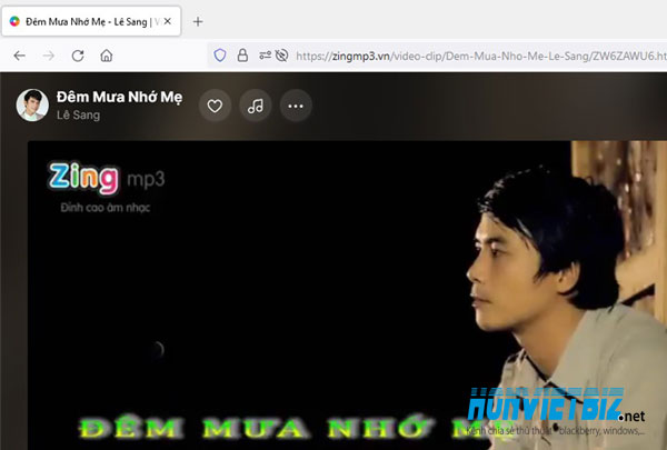 Thủ thuật HonVietBIZ | Hướng dẫn download nhạc và video trên trang ZingMp3